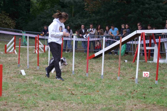 foire-haricots 2011-09-17et18